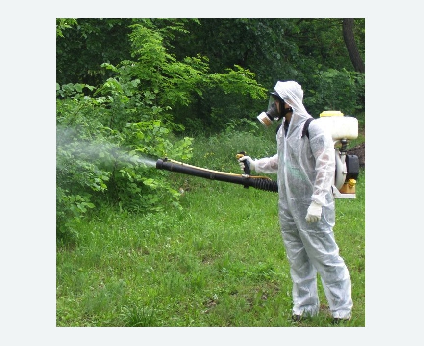 обработка территории от клещей в Петровске