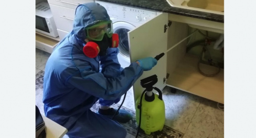 Уничтожение муравьев в квартире. Петровск