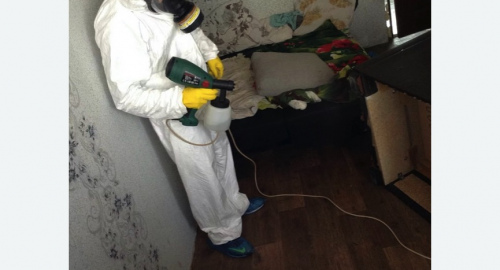 Обработка квартир от насекомых в Петровске