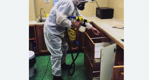 Дезинсекция квартиры. Петровск