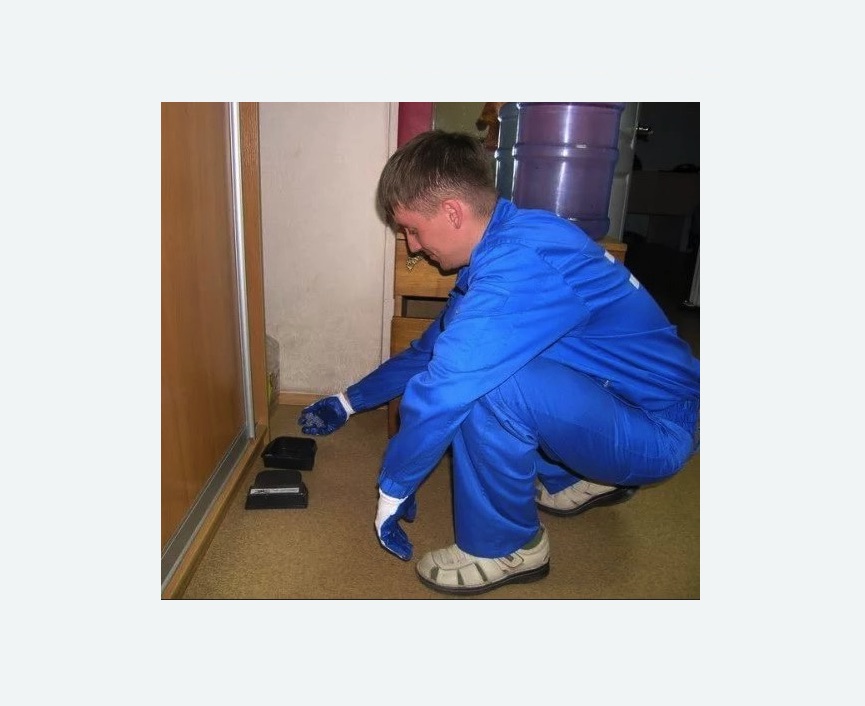 Дератизация крыс в Петровске