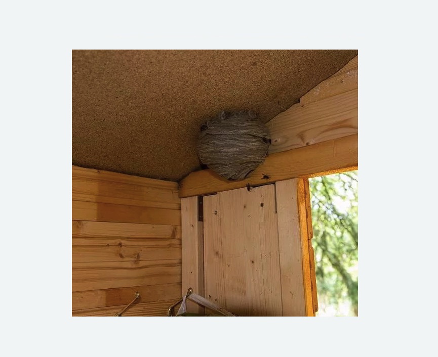 Обработка от ос в Петровске Обработка от ос