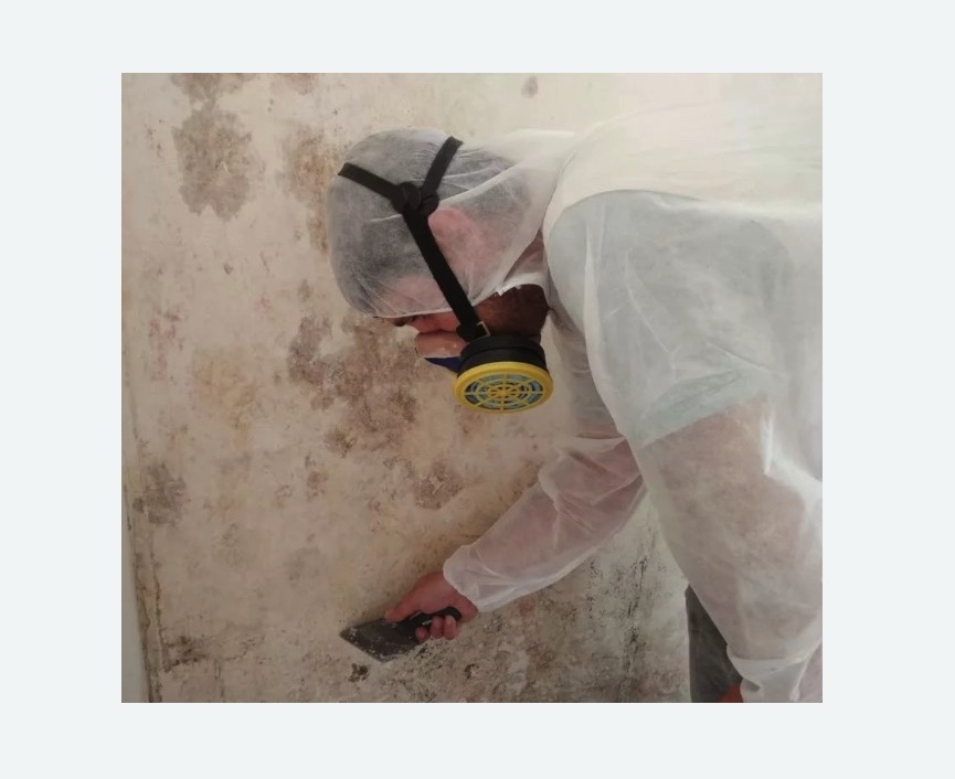 Обработка стен от плесени в Петровске