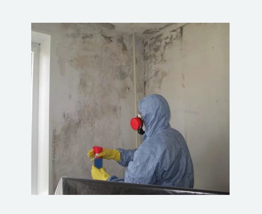 Удаление плесени в квартире в Петровске