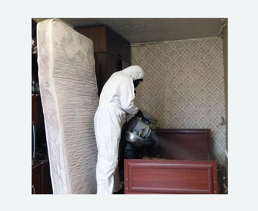 дезинфекция от клопов в Петровске