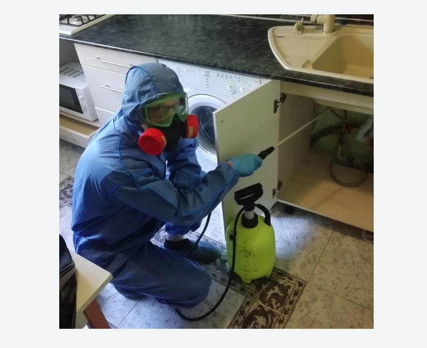 обработка от муравьев в квартире в Петровске