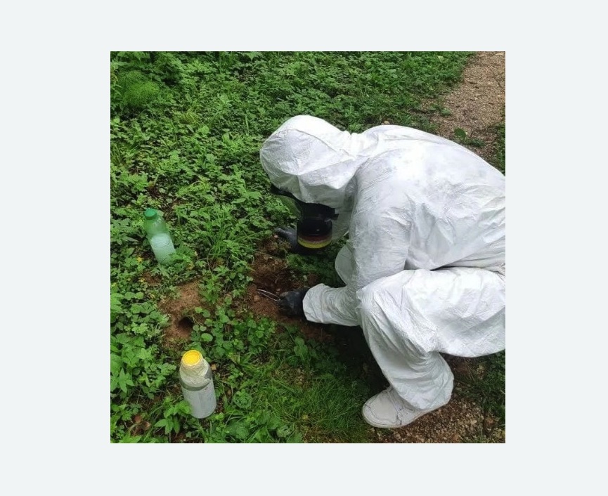 уничтожение кротов на участке в Петровске