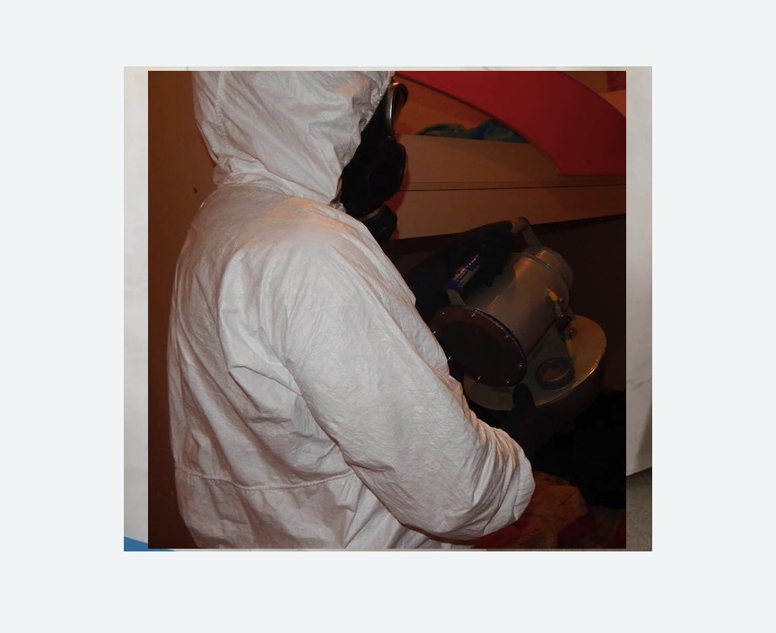 Дезинфекция от муравьев в Петровске