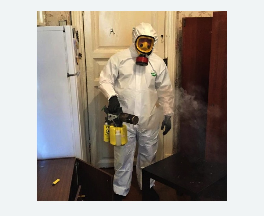 уничтожение муравьев в квартире в Петровске